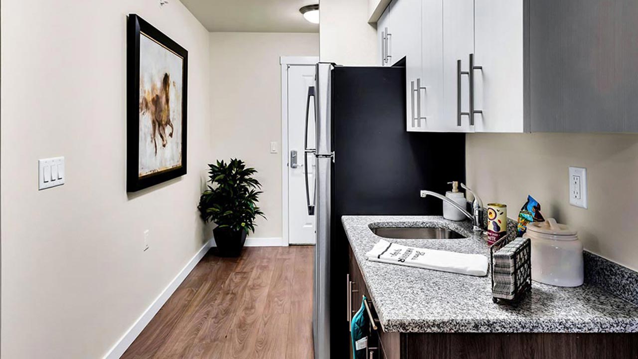 A narrow kitchen with a granite countertop, stainless steel sink, and modern appliances is on one side. On the other, a hallway with wooden flooring, a framed painting, and a potted plant leads to a white door.