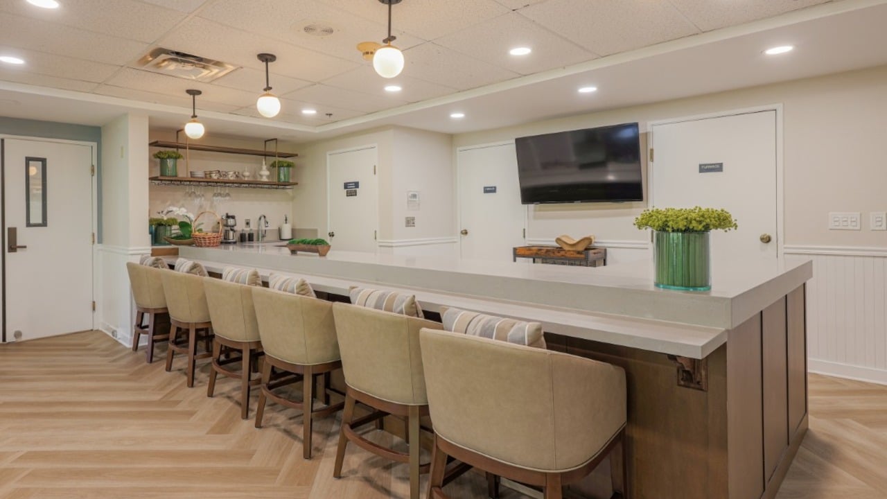 A modern break room with a long counter, cushioned chairs, shelves with dishes, a wall-mounted TV, and a green plant centerpiece on the counter.