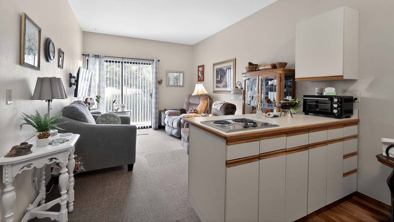 A cozy living room with gray furniture, a small kitchen area with a stovetop, a glass cabinet, and large windows with vertical blinds letting in natural light. Decor includes plants, lamps, and framed pictures.